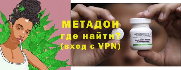 прущие грибы Абинск
