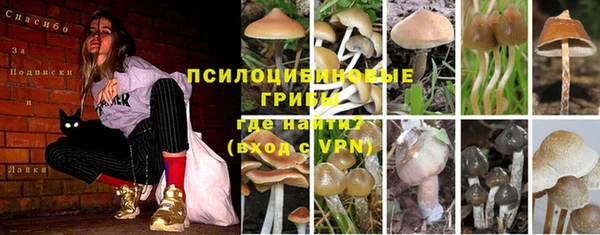 не бодяженный Алексин