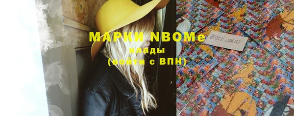 прущие грибы Абинск