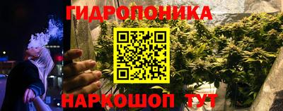 эйфоретик Малгобек