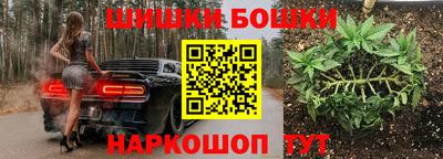 эйфоретик Малгобек