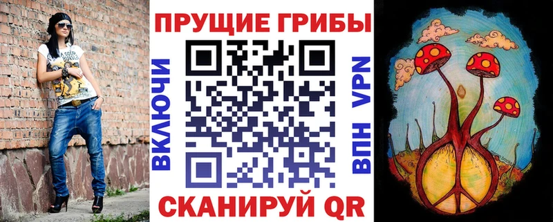 закладки  Сыктывкар  Псилоцибиновые грибы Psilocybine cubensis 